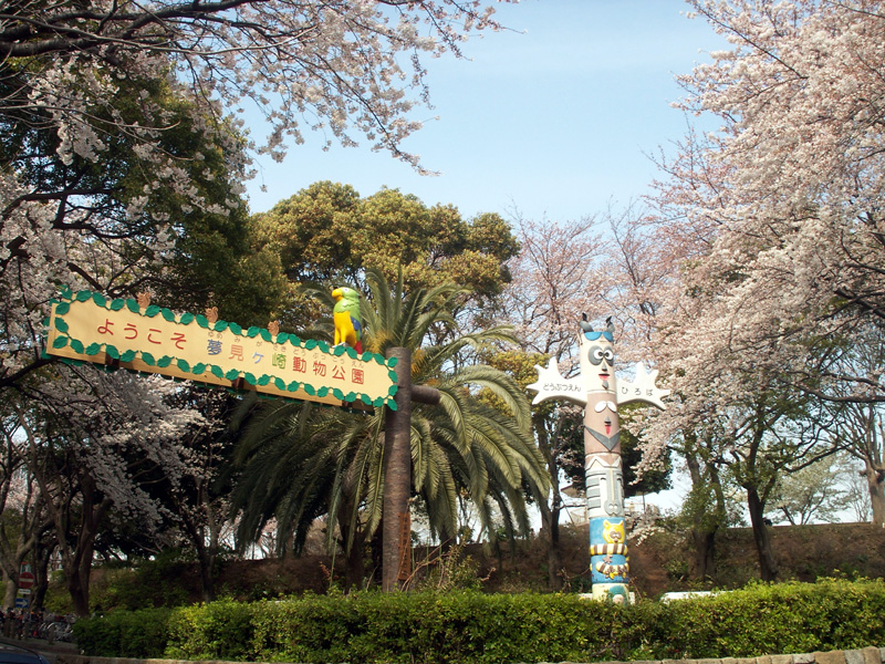 夢見ヶ崎動物公園の桜と動物(2009/4/3)