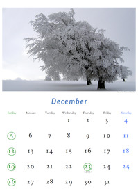 2010年12月のカレンダー